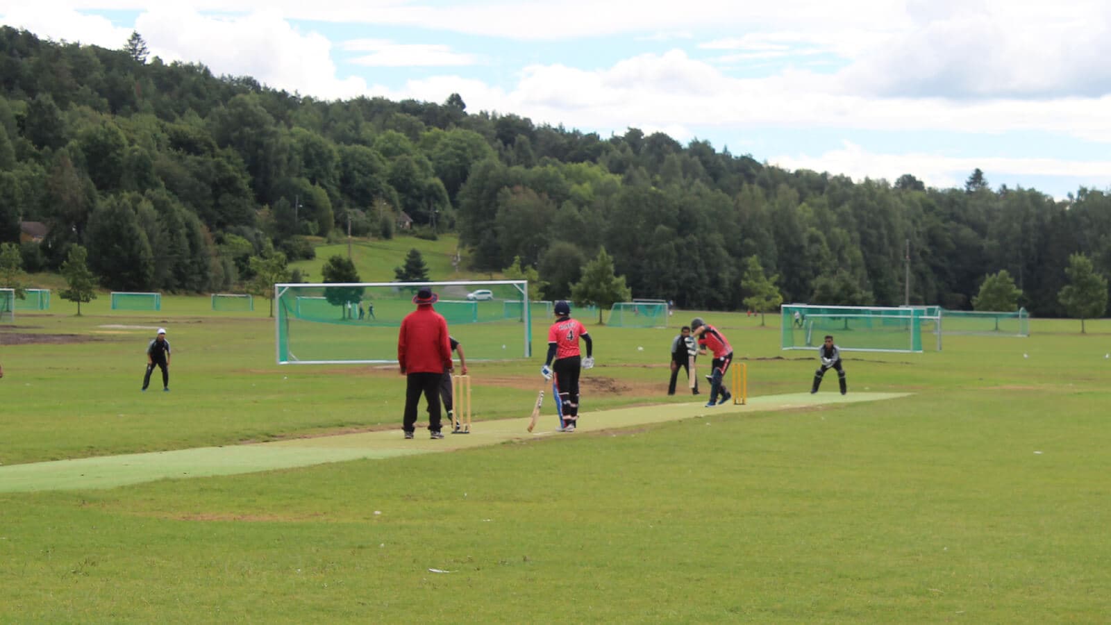 Cricket ground in Oslo surrounded by forest
